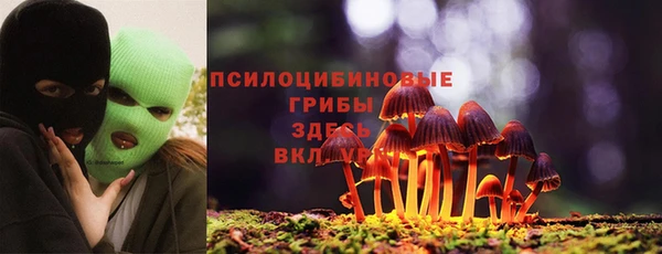 амфетамин Алексеевка