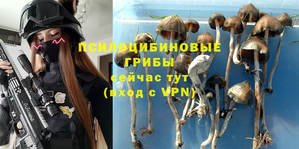 винт Алзамай