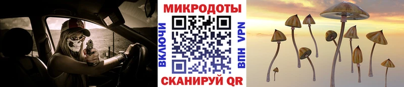 Галлюциногенные грибы мицелий Слободской